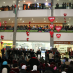IMG_6581 IMG_6581